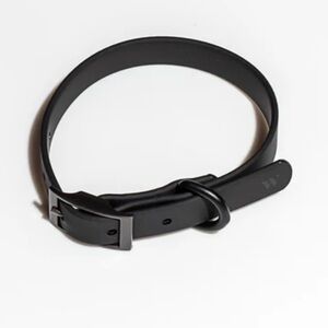 NWT Wild One Dog Collar